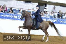 15R9_01318 thumbnail