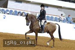 15R9_01481 thumbnail