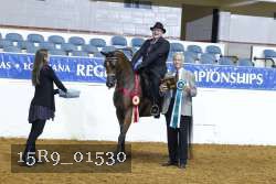 15R9_01530 thumbnail