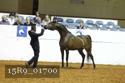 15R9_01700 thumbnail