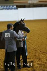 15R9_01744 thumbnail