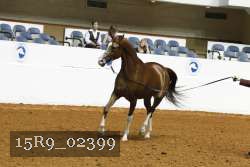 15R9_02399 thumbnail