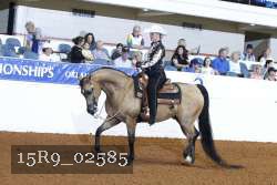 15R9_02585 thumbnail
