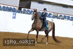 15R9_02837 thumbnail