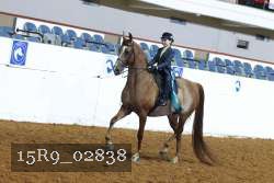 15R9_02838 thumbnail