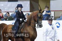 15R9_02843 thumbnail