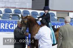 15R9_02844 thumbnail