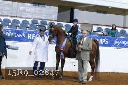 15R9_02847 thumbnail