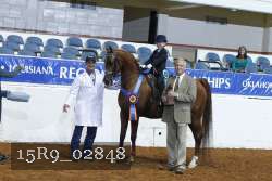 15R9_02848 thumbnail