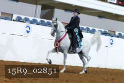 15R9_02851 thumbnail