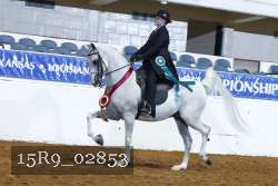 15R9_02853 thumbnail