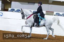 15R9_02854 thumbnail