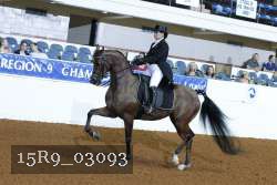 15R9_03093 thumbnail