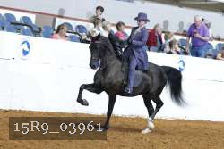15R9_03961 thumbnail