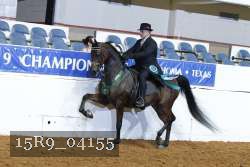 15R9_04155 thumbnail