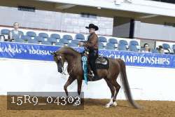 15R9_04303 thumbnail