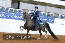 15R9_04362 thumbnail