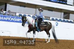 15R9_04733 thumbnail