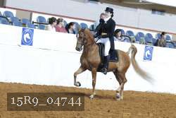 15R9_04744 thumbnail