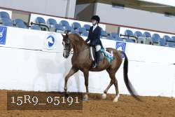 15R9_05191 thumbnail