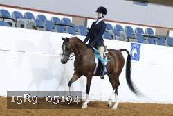 15R9_05194 thumbnail