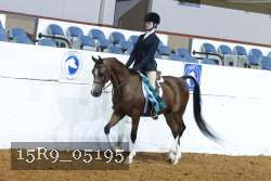15R9_05195 thumbnail