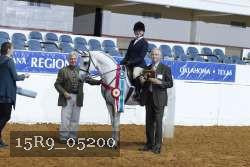 15R9_05200 thumbnail