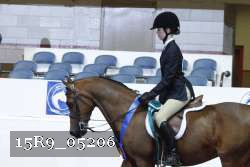 15R9_05206 thumbnail