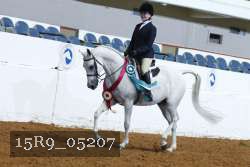 15R9_05207 thumbnail