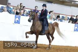 15R9_05453 thumbnail