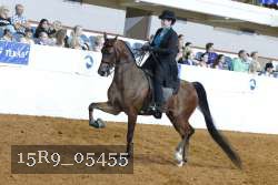 15R9_05455 thumbnail