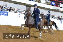 15R9_05456 thumbnail