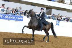 15R9_05457 thumbnail