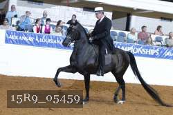 15R9_05459 thumbnail