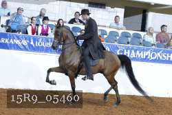 15R9_05460 thumbnail