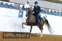 15R9_05464 thumbnail