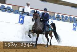 15R9_05467 thumbnail
