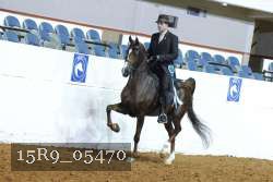 15R9_05470 thumbnail