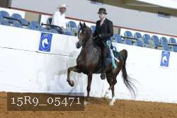 15R9_05471 thumbnail