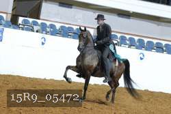 15R9_05472 thumbnail