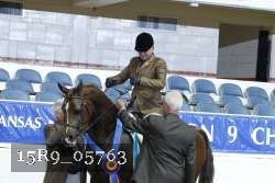 15R9_05763 thumbnail