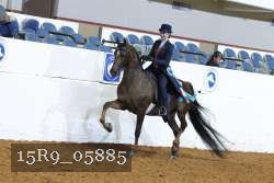 15R9_05885 thumbnail