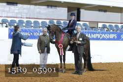 15R9_05901 thumbnail