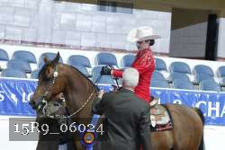 15R9_06024 thumbnail