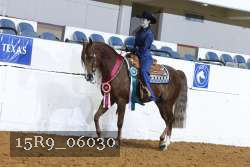 15R9_06030 thumbnail