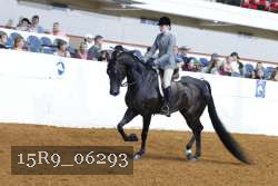 15R9_06293 thumbnail
