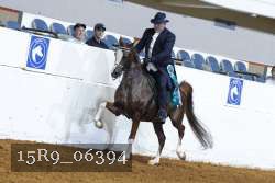 15R9_06394 thumbnail