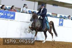 15R9_06395 thumbnail