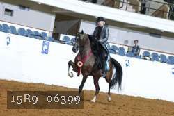 15R9_06399 thumbnail