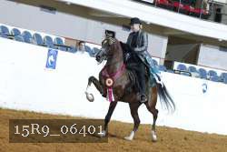 15R9_06401 thumbnail